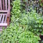 Seating_area