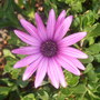 Dscf0695