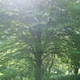 Dscf0656