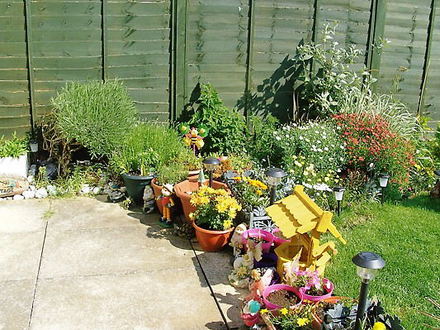 The patio