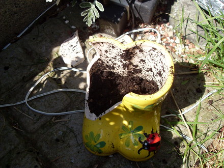 my broken wellies