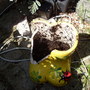 my broken wellies