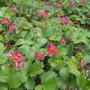 Pics_01