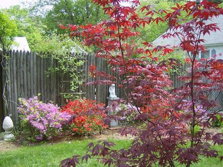 Front Garden - May 2008