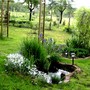 Copy_of_pict1323