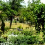 View from path near Mulberry bed looking towards lower garden and orchard.