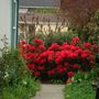 ENTRANCE TO HOUSE ~ LOVE THAT RHODIE