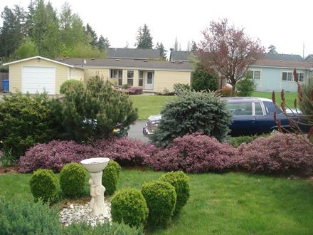 HEATHER ACROSS THE FRONT YARD