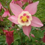 15_may_004