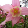 15_may_003