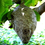 P1010050