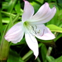 P1010076.jpg