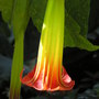 P1010086