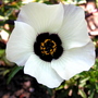 P1010045.jpg
