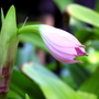 P1010075