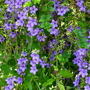 P1010056.jpg