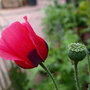 20080509_61.jpg