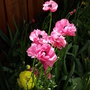 20080410_77