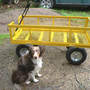 Wagon_new_ruben_sit_next_to_5-11-08_sm
