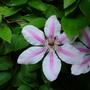 Imported_Photos_00013.jpg