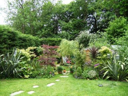 Back garden 16 May 08 