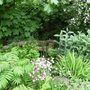 May_059