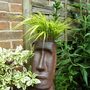 head of hair (Hakonechloa macra (aureola))