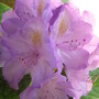 P5050010