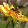 P5090004