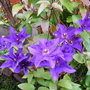 Imported_Photos_00039.jpg