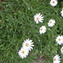Pictures_to_sort_014