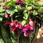 Imported_Photos_00036.jpg
