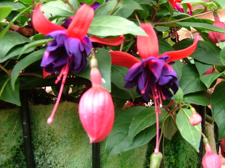 Imported_Photos_00042.jpg