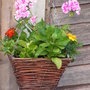 CONE BASKET