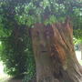 Dscf0727