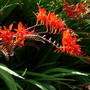Dscn0681