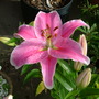 Imported_photos_00044