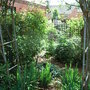 Open Garden 2008 - 5