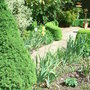 Open Garden 2008 - 6