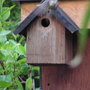 mum off to get some more food for her babies..........