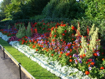 Summer in Regent's Park