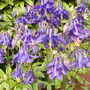 Pict0166