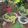 Container garden