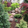 A garden flower photo