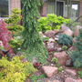 A garden flower photo