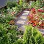 Pams_pics_051