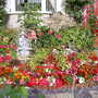 Pams_pics_062