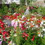 Pams_pics_059
