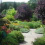 At Rosemoor - the square garden