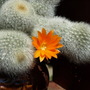 20080522_07